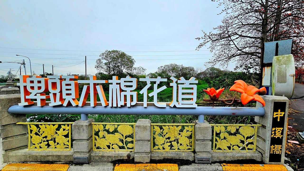 空拍 埤頭木棉花道