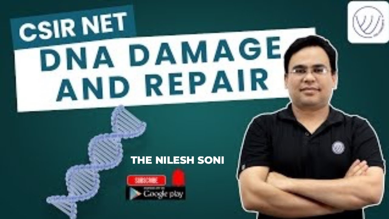 DNA DAMAGE AND ITS REPAIR | CSIR NET LIFE SCIENCE DEC 2025 | TNS CONCEPTS