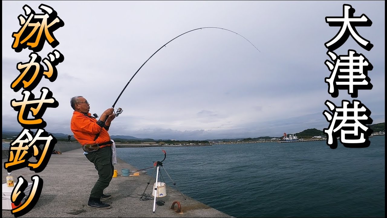 【大津港釣り】アジで泳がせ釣りしたら釣れました。