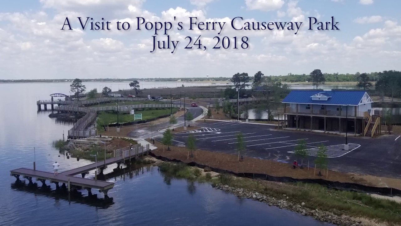 A visit to Popp's Ferry Causeway Park, July 2018