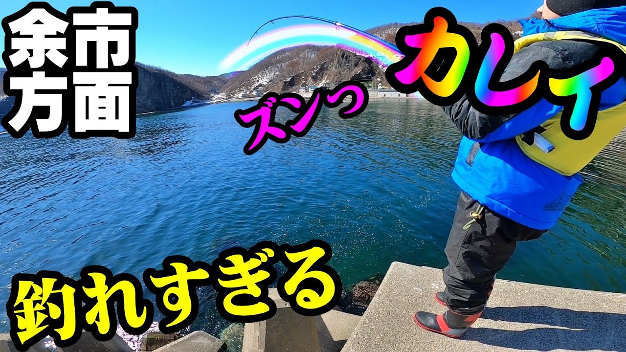 [Fishing] Flatfish fishing and big fishing from dawn