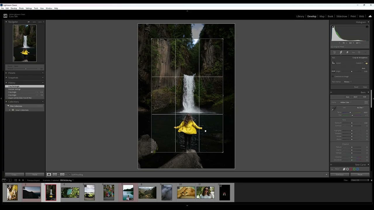 3 Crop rotate