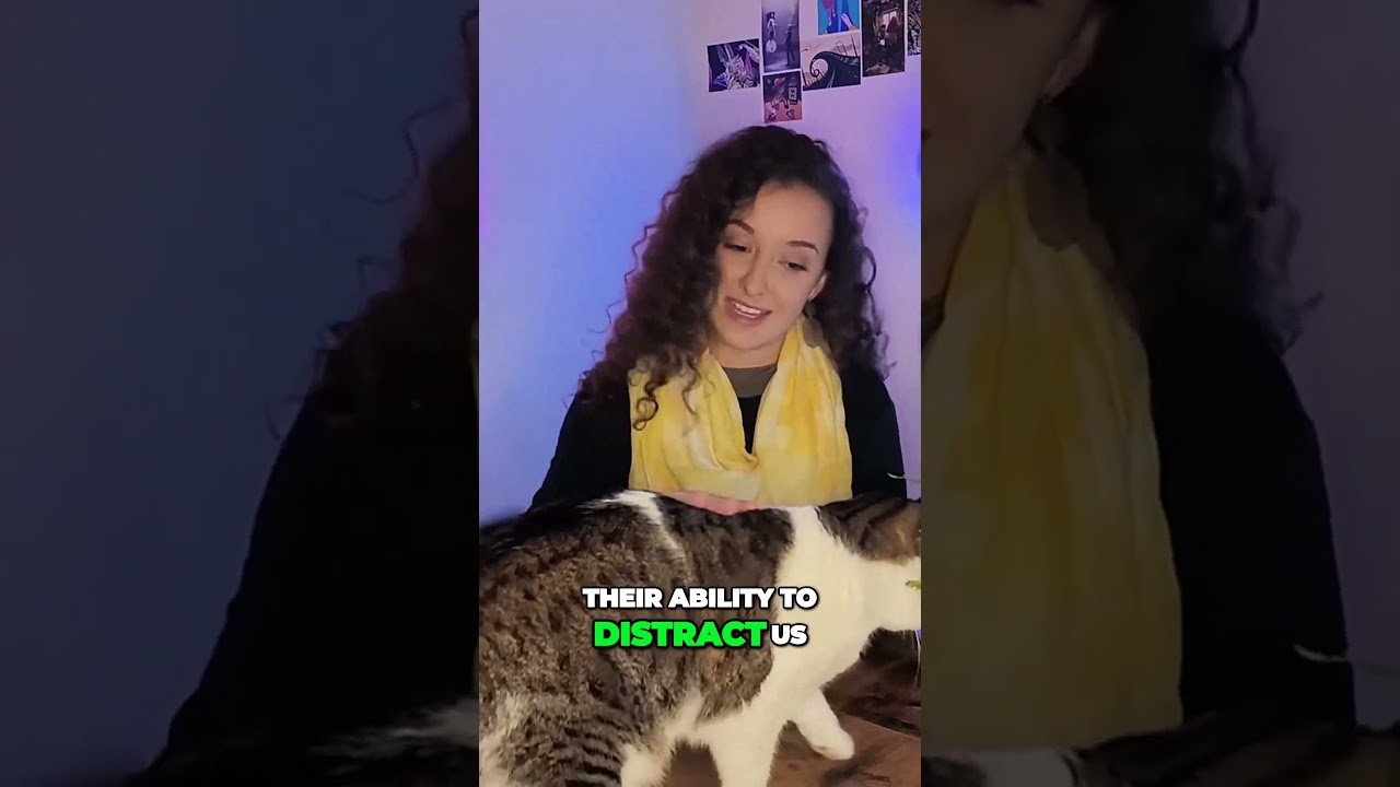 How Cats Sense Autism, Depression, and Anxiety