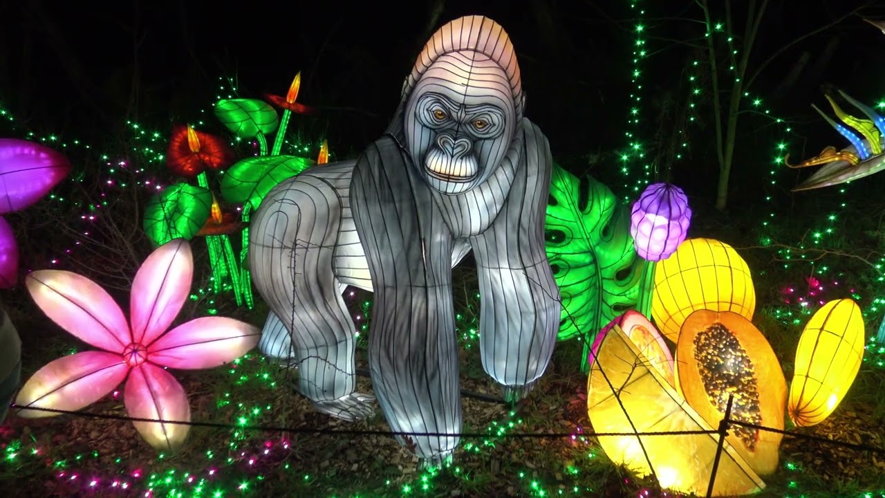 Light Safari Beekse Bergen 2025 2026 4K
