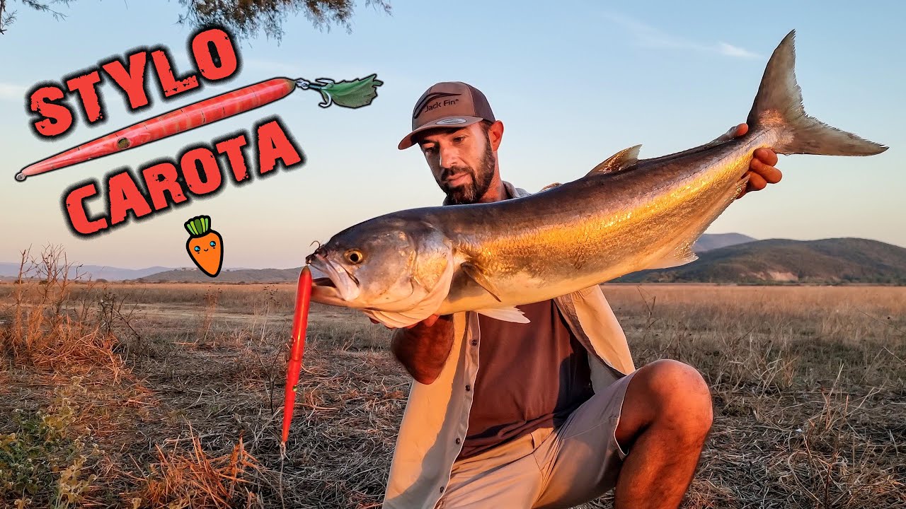 PESCE SERRA enorme durante la sfida con lo STYLO carota di @Jack Fin - official channel