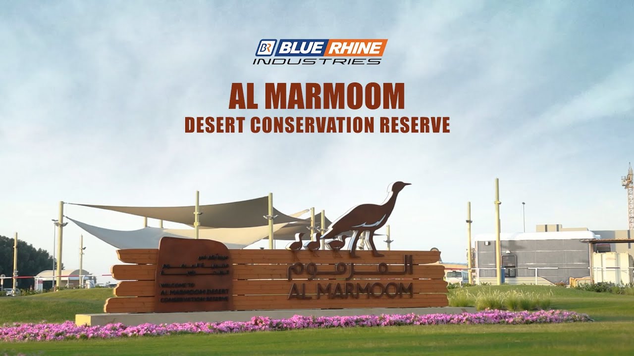 Al Marmoom Desert Conservation Reserve.