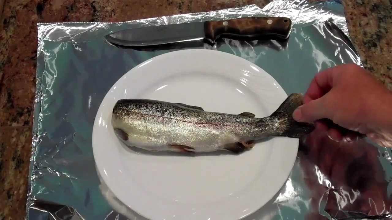 How To: Cook fish in aluminum foil over an open fire
