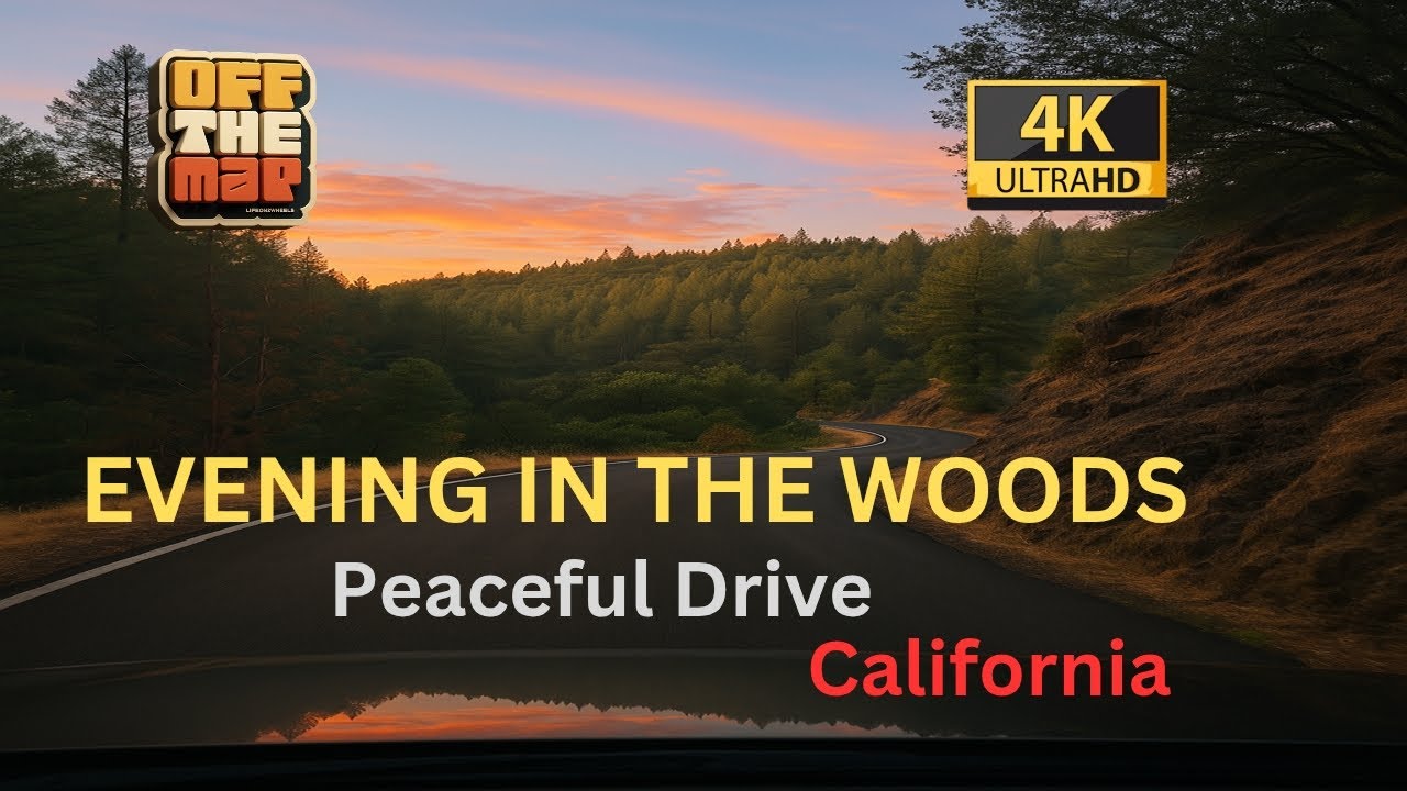 🌲 Evening Drive in Colfax, California | Scenic Mountain & Forest Roads