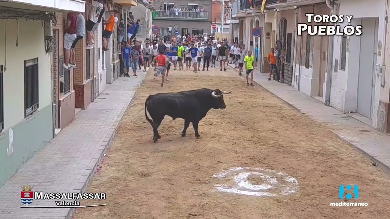 Reportaje Toros y Pueblos:  PT Massalfassar 2023 con im&aacute;genes de @Angel775Toros