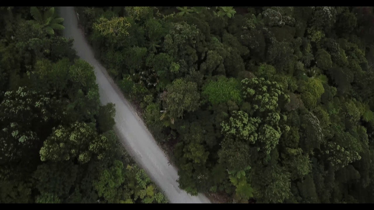 WAITAKERE RANGES by Drone | Auckland, New Zealand