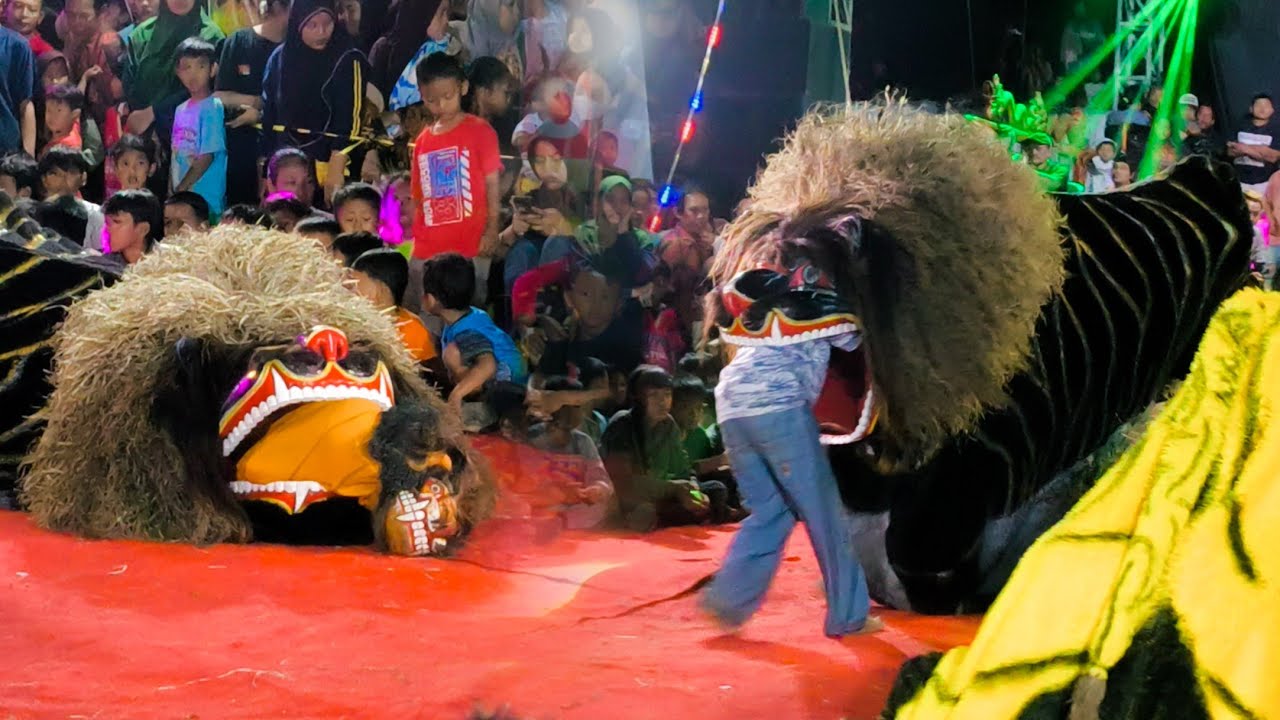 Atraksi Barongan Melahirkan!! Ngesti Wargo Budoyo (NWB) Live Sambongsari