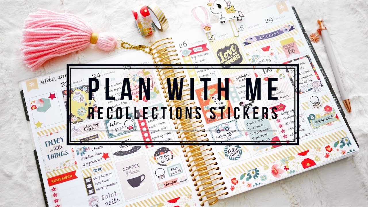 Plan With Me - No Etsy Kit ( Recollections Stickers)