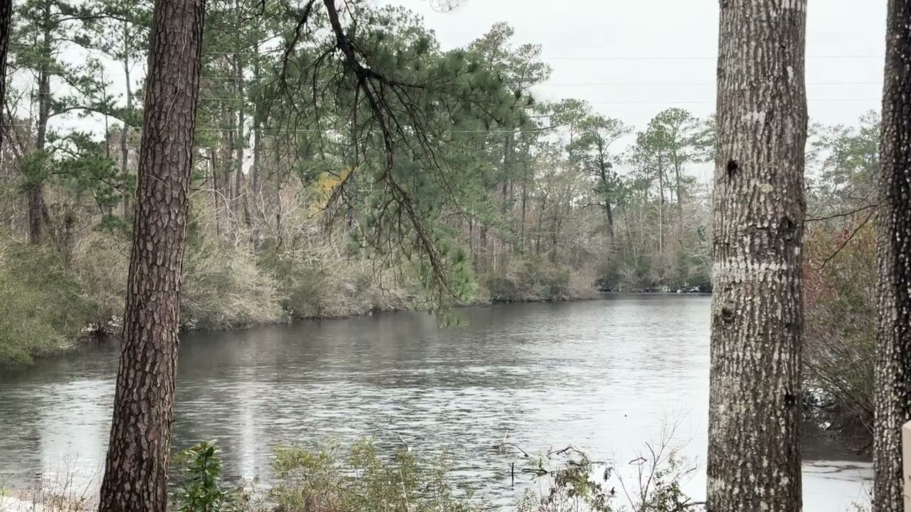 Relaxing Nature- Ice on the Pond in NC