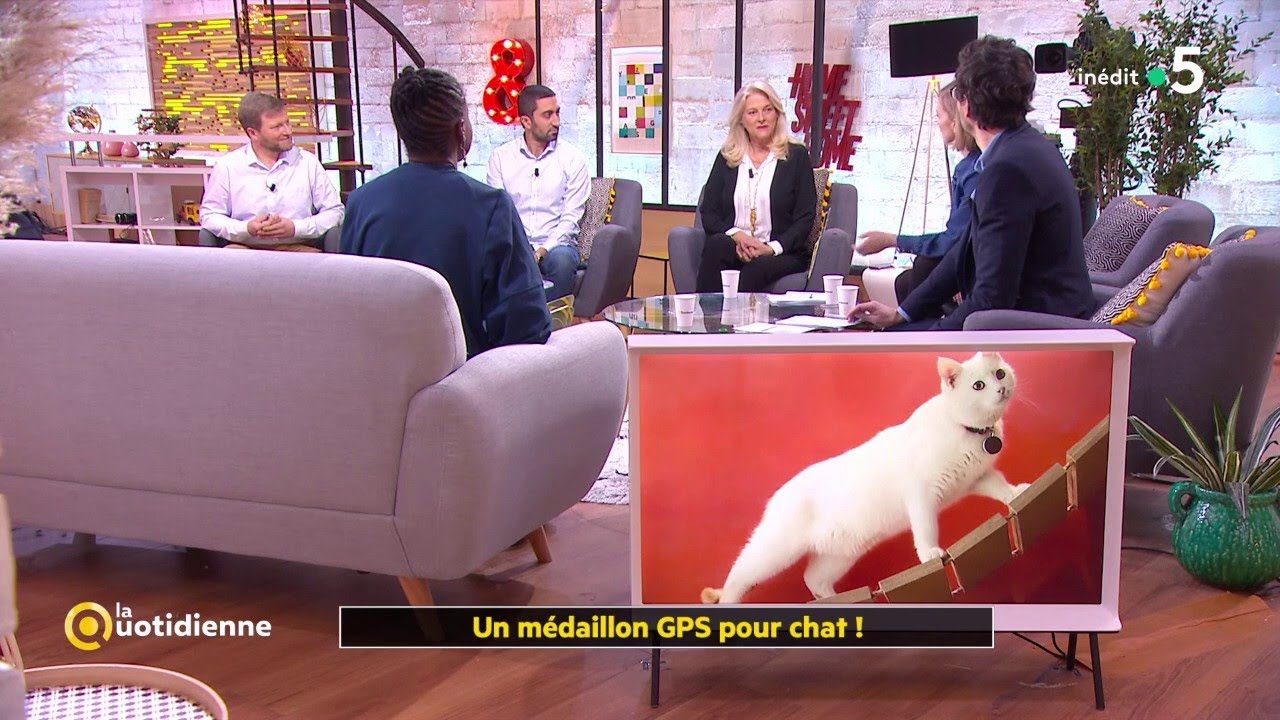 IDJ du 15 avril : Feelloo - La Quotidienne