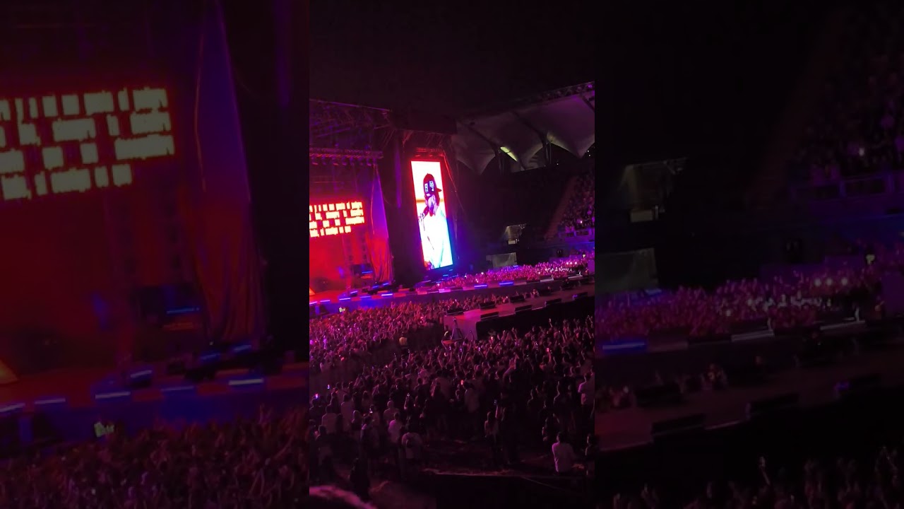 Reina - Mora (chile) en vivo