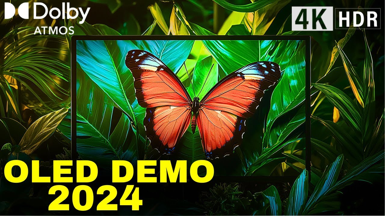 2024 OLED DEMO: Dolby Atmos Breakthrough in Next-Gen TV Technology!