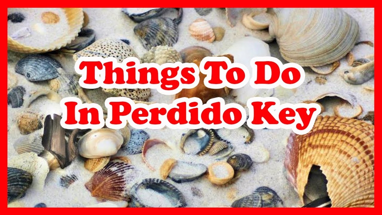 5 Best Things To Do In Perdido Key, Florida | US Travel Guide