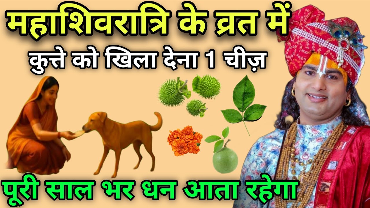 शिवरात्रि के व्रत में 😱 कुत्ते को खिला देना 1 गुप्त चीज़ 😱 पैसा गिनते गिनते थक जाओगे #Shivratri