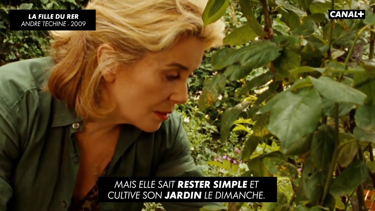 Catherine Deneuve - Portrait de Stars de cinéma