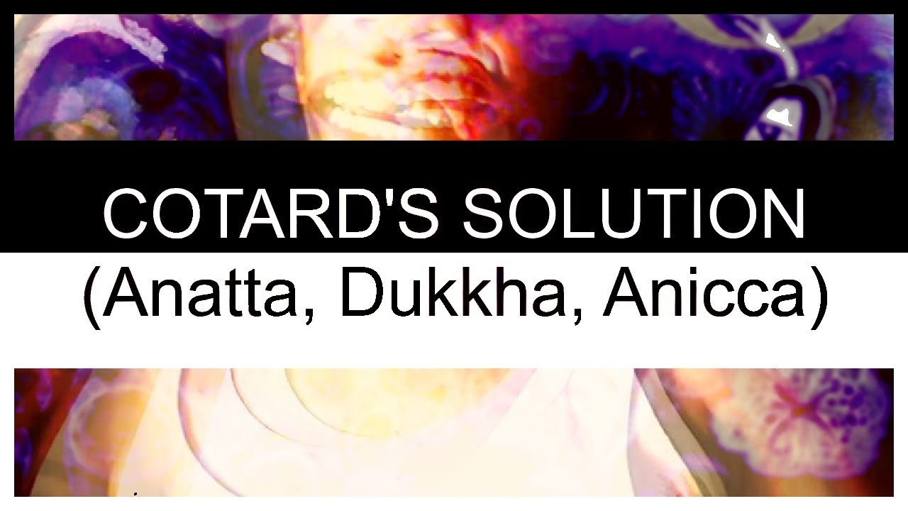 COTARD'S SOLUTION {Anatta, Dukkha, Anicca} | A Will Wood cover by