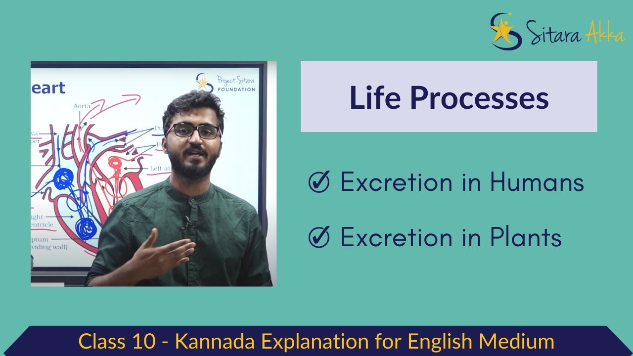 (5/5) Excretion in Human Beings and Plants | Life Processes | Kannada Explanation | Class 10