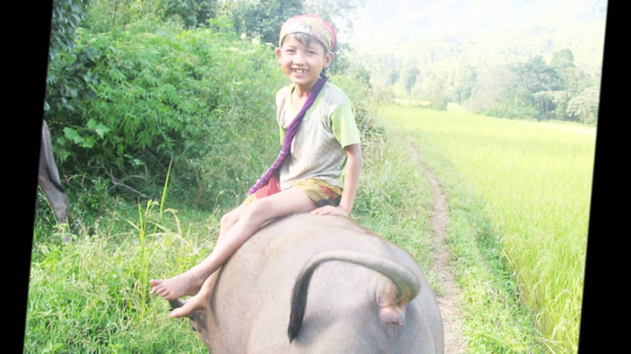 karenni song Aung san