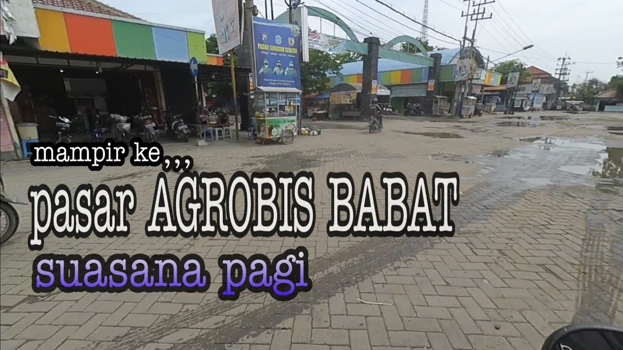 kelayapan ke pasar agrobis BABAT