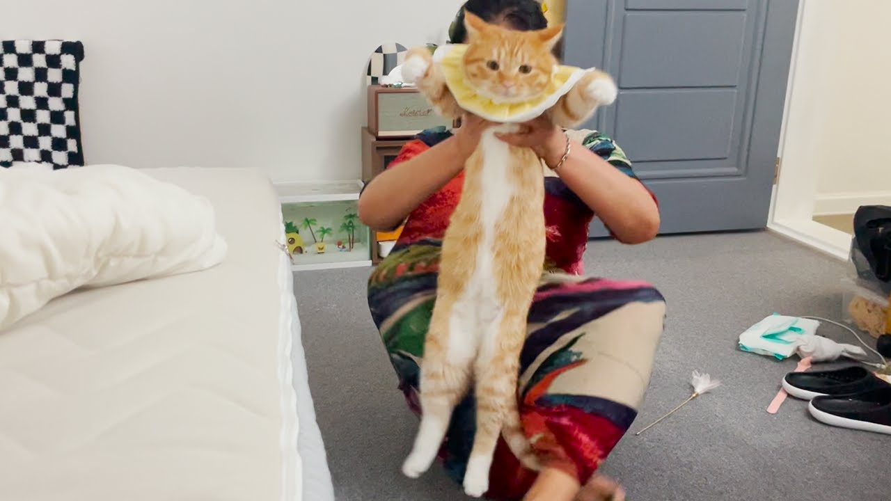 동글이의 새집 적응기