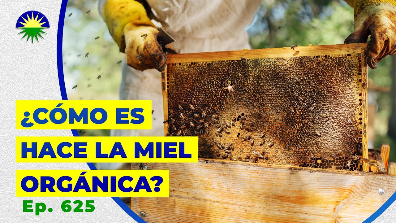 625. ¿Cómo se hace la miel orgánica?