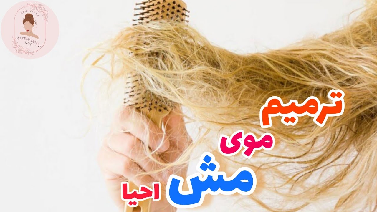 ترمیم زمینه مش و رنگ ریشه ( موهای سفید )