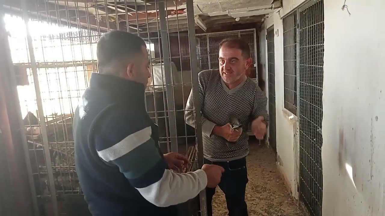 SÖZÜN BİTTİĞİ YERDEYİZ MURAT BOZKURT SAYI MAKİNASI KUŞLARI SAKIN KAÇIRMAYIN