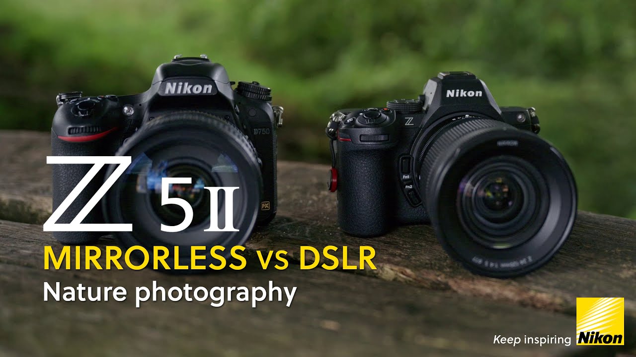 Nikon Z5II | Nature photography with Tony Garratty | Mirrorless vs DSLR