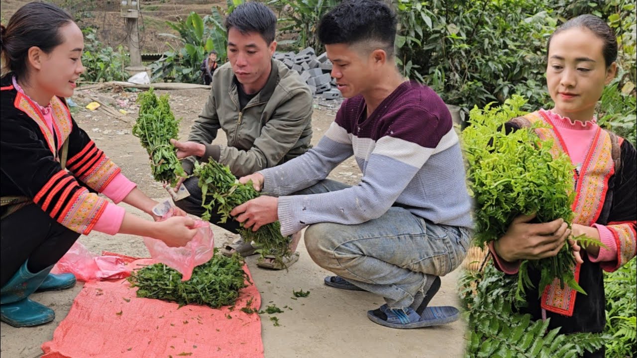 The kind man helped the young girl buy all the wild vegetables and a strange man | anh hmong