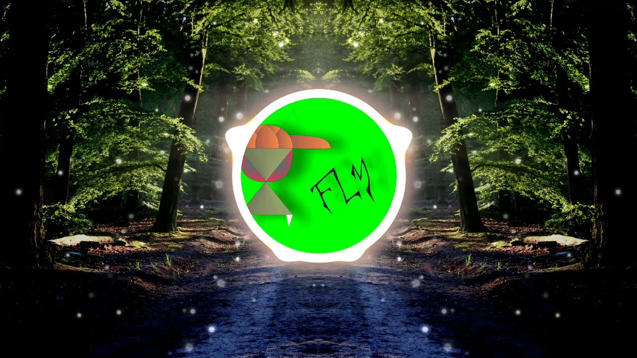 Saam met my PPFLY