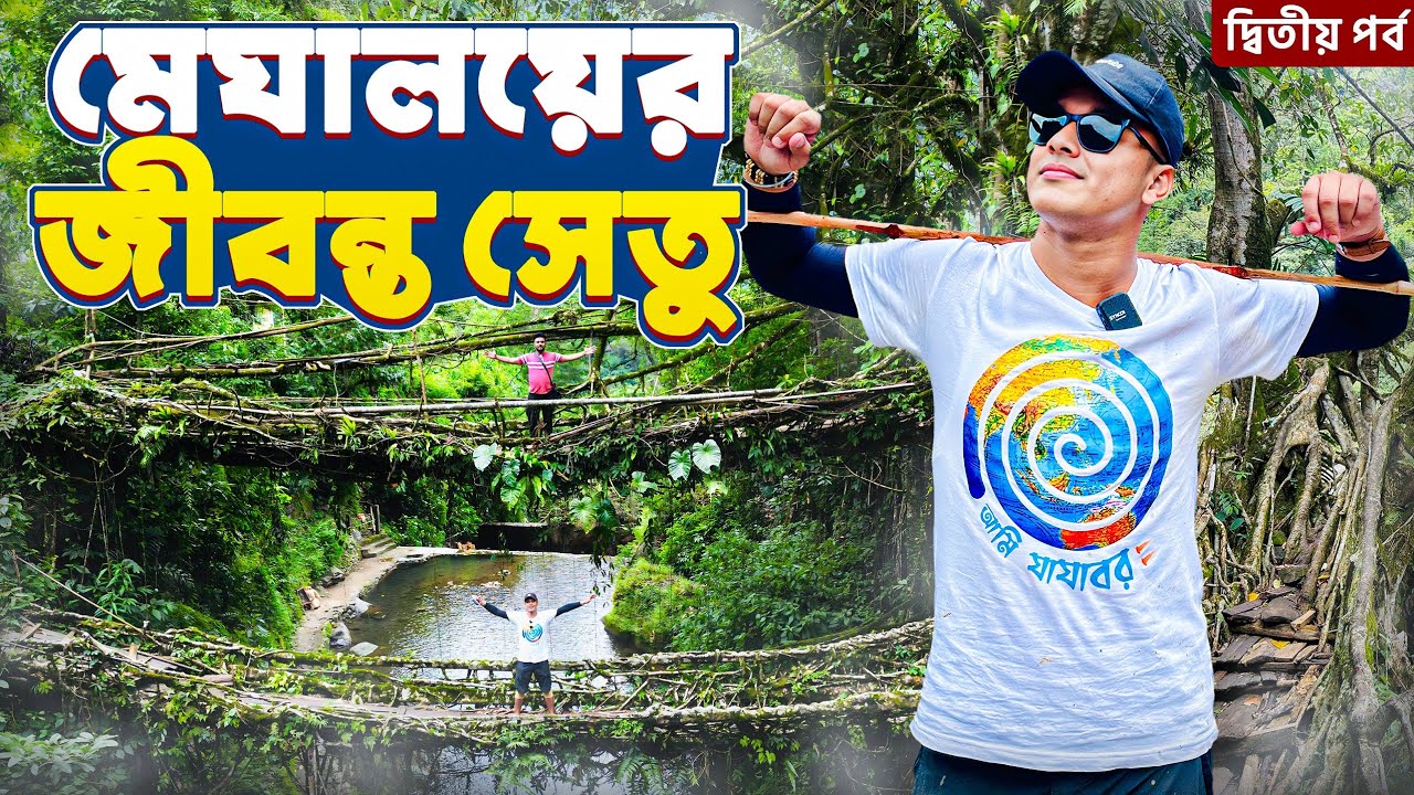 মেঘালয়ের জীবন্ত সেতু | Double Decker Living Root Bridge |  Meghalaya Tourist Places | Cherrapunji