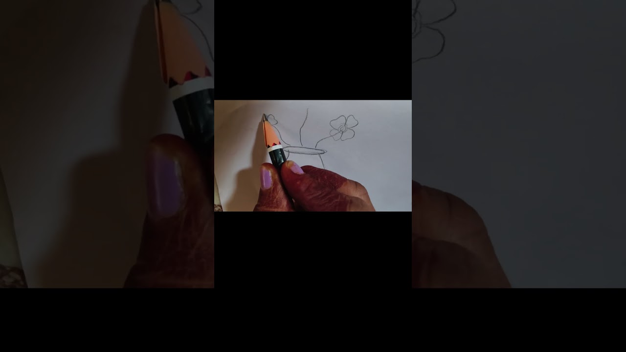how to draw gamla 