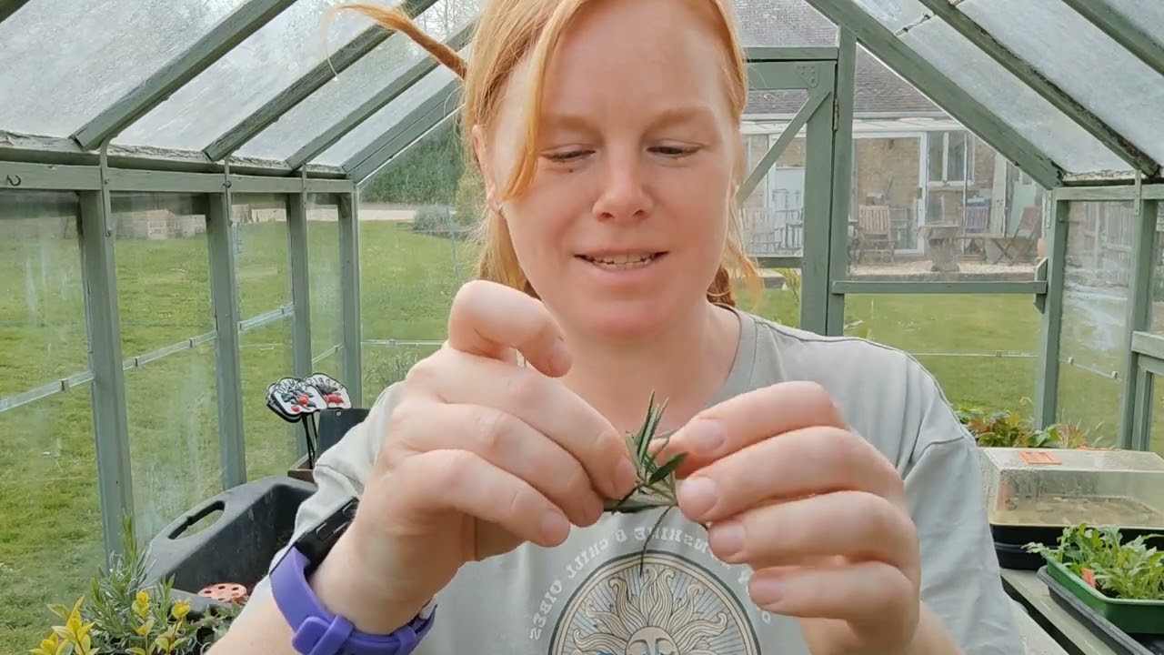 Free plants? I'll show you how to get plants for free!