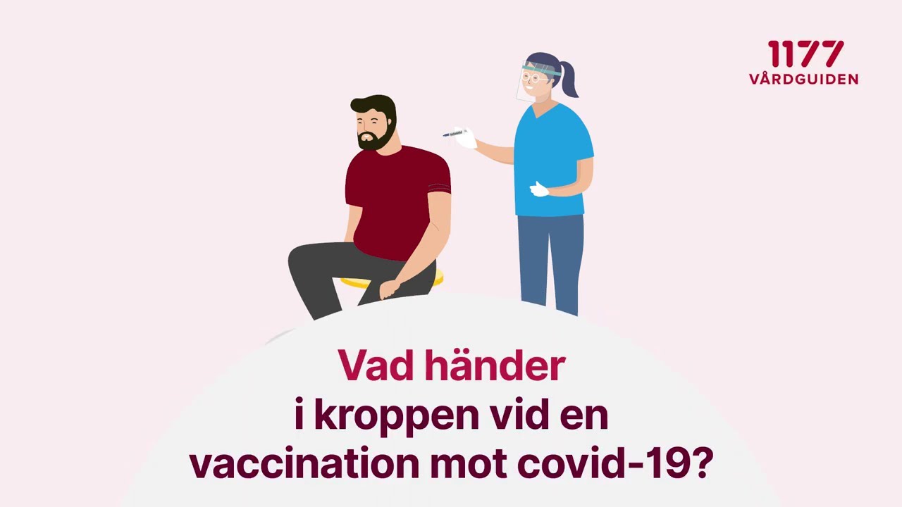 Vad händer i kroppen vid vaccination mot covid-19?