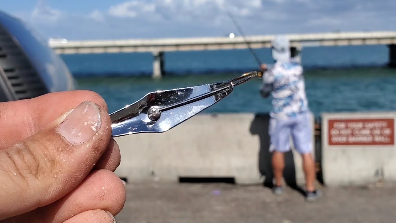 mackerel madness at the skyway fishing pier