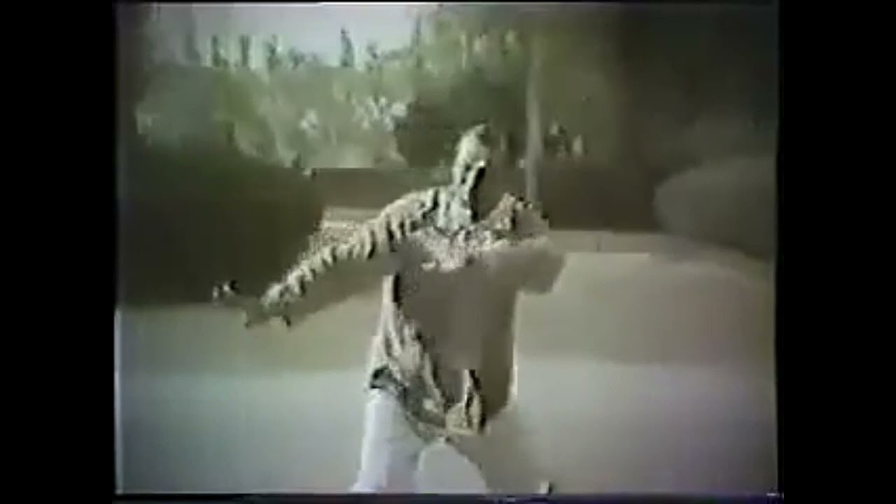 Tai Chi Chuan - GM Tian Xiuchen, student of famous GM Chen Fake #taichichuan #taijiquan #chen