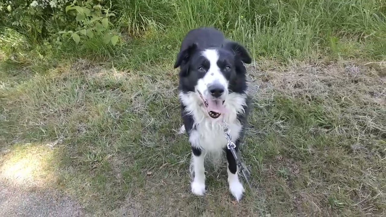 Spring promenade Mouilleron le Captif