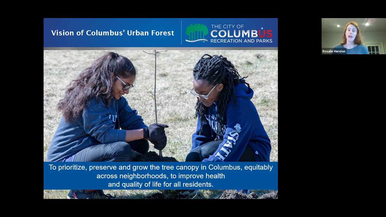 Tree University: Investing in Trees for Health, Equity and Safety