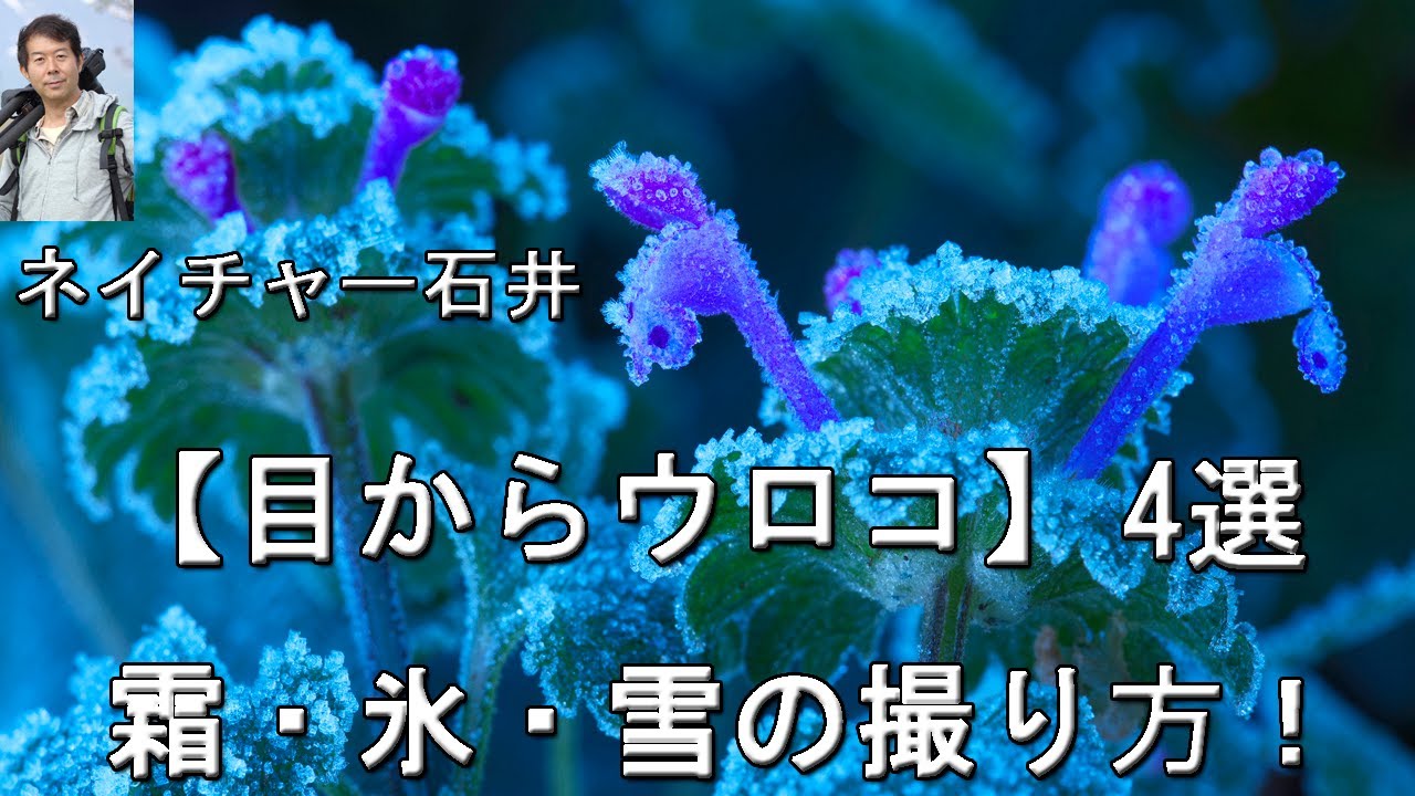 【目からウロコ】霜・氷・雪の撮り方！