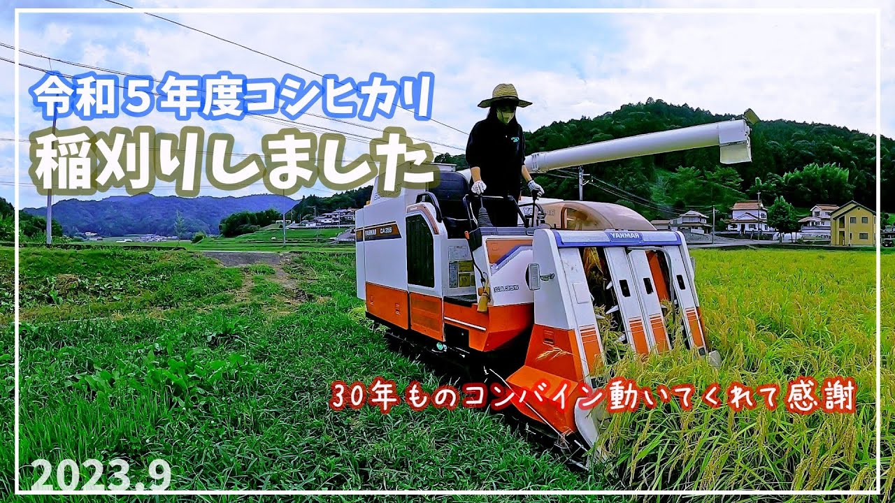 農業女子　2023.9稲刈りしました　広島県　世羅町