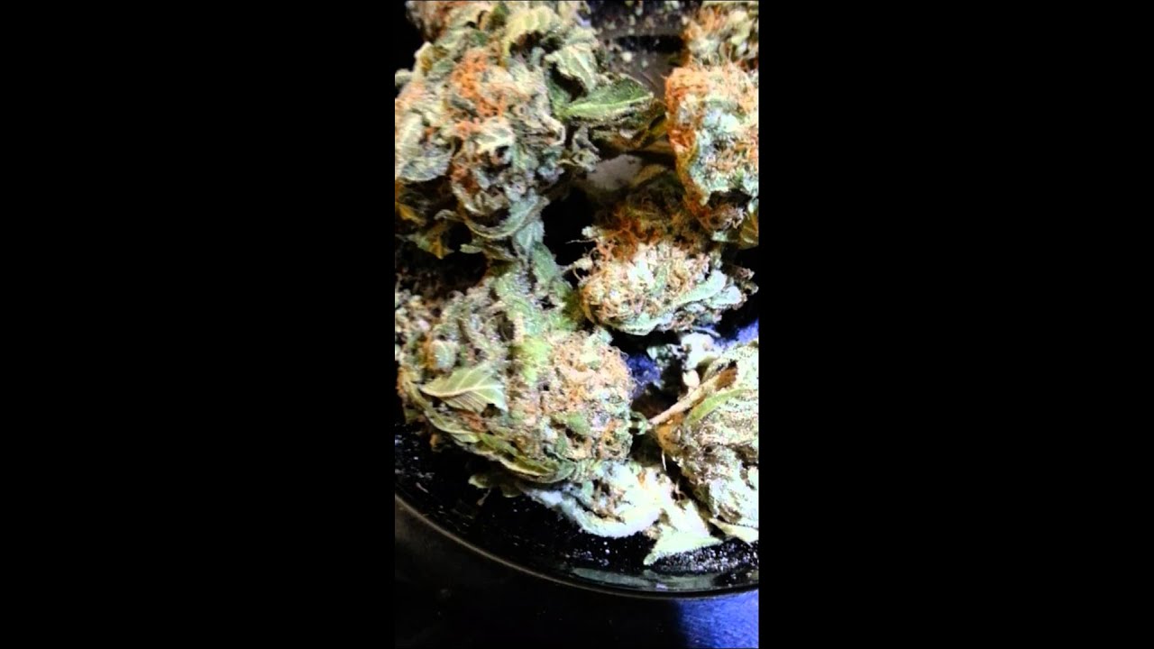 Chronic close up: Joey negro kush