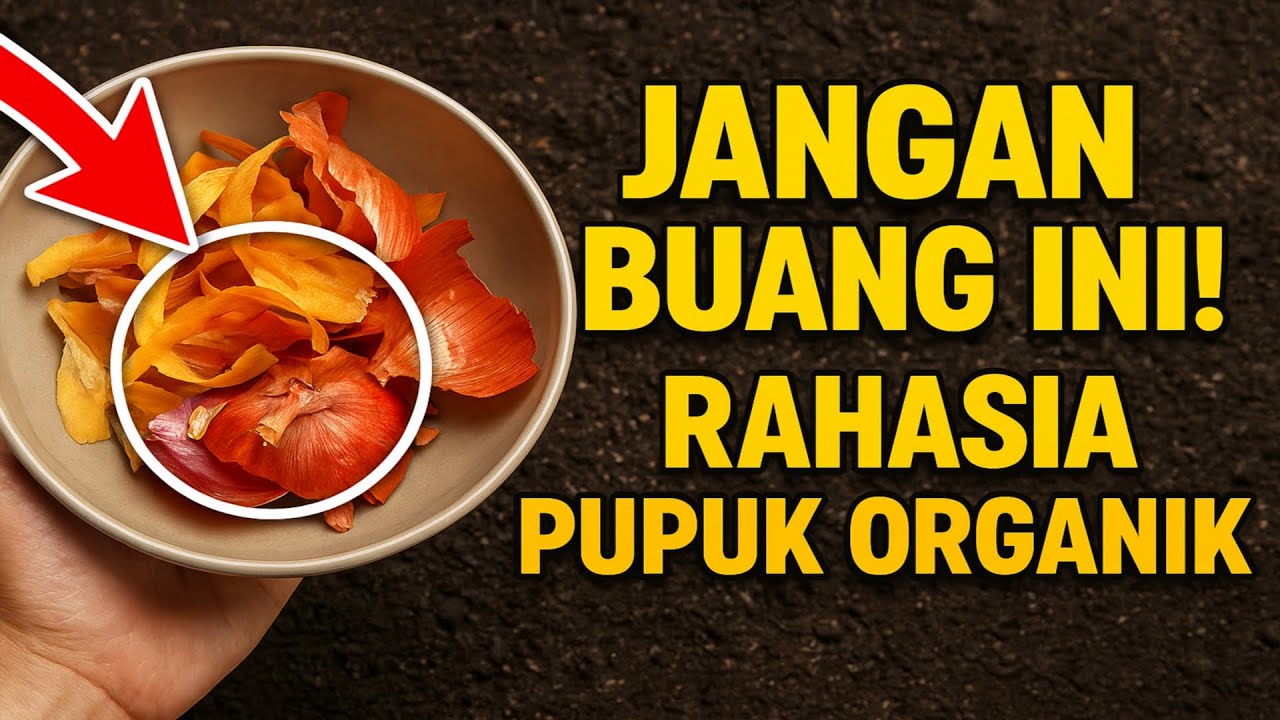 Jangan buang ini! Rahasia pupuk organik yang selama ini disembunyikan toko-toko dari Anda.