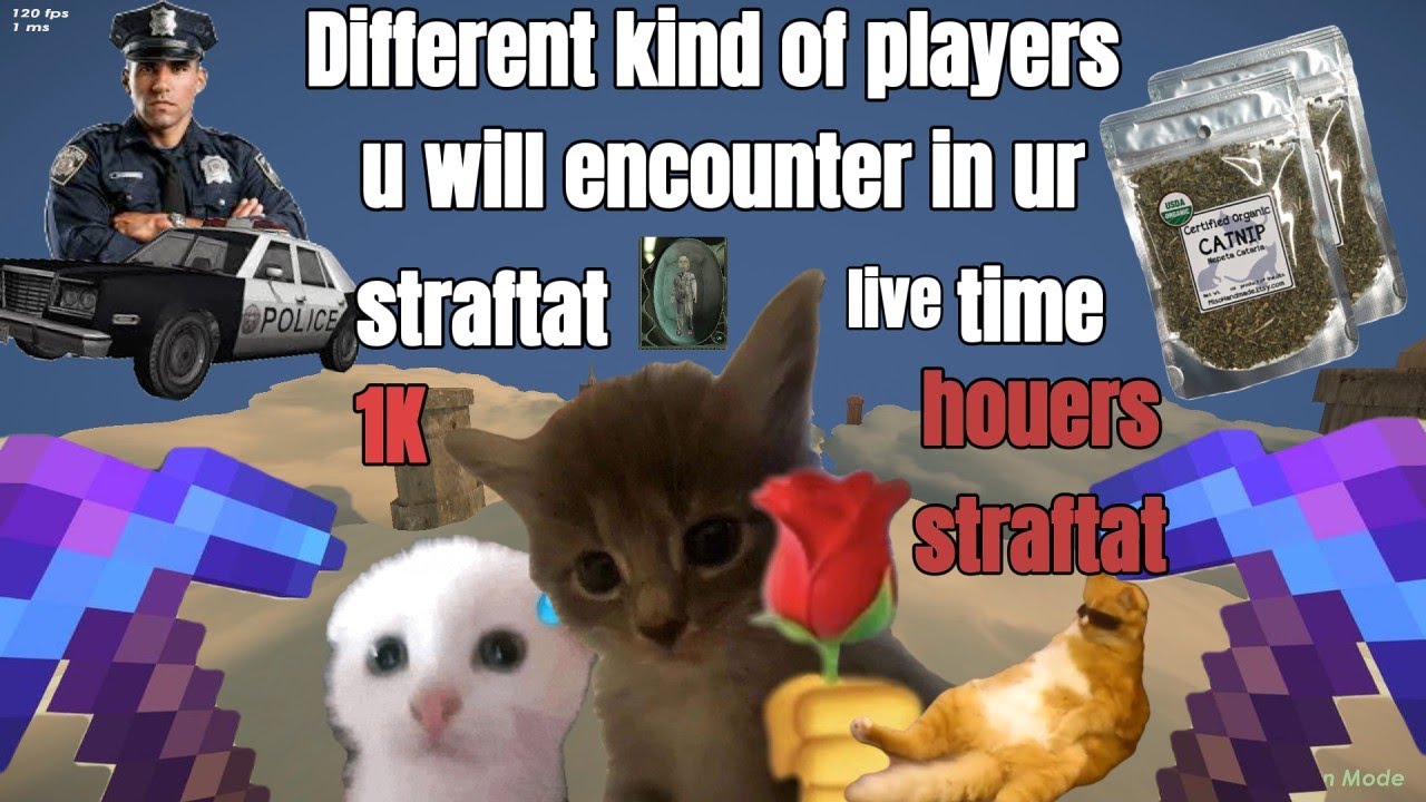 Different Kind of Players u Encounter in ur Straftat live time