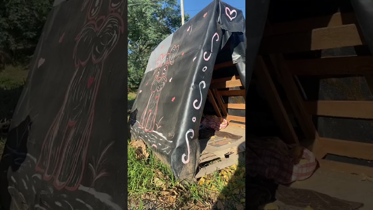 CASITAS PARA PERRITOS CALLEJEROS CON CARTELES DE PUBLICIDAD