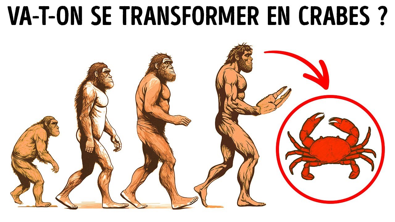 Pourquoi l'&eacute;volution semble transformer toutes les esp&egrave;ces en crabes