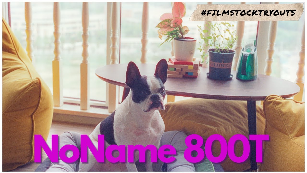 Secret Chinese Film Stock? You NEED to See! | #filmstocktryouts | 35mm Film Review